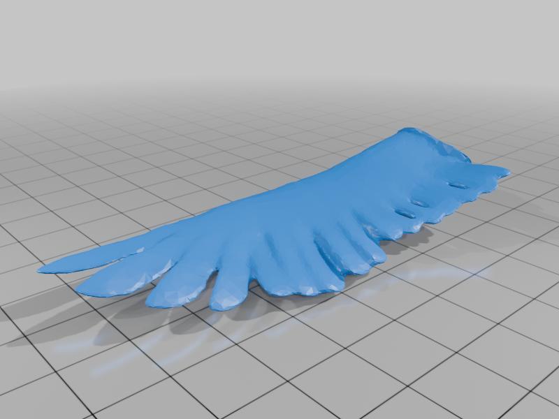 Giant Vulture Right Wing