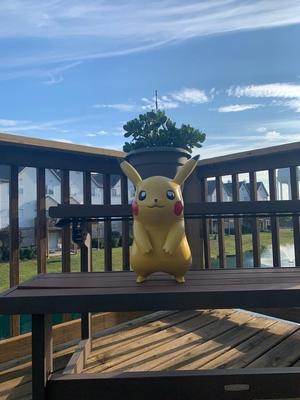 Life Sized Pikachu