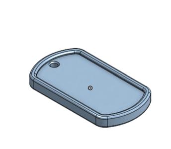 Custimizable Dog Tag