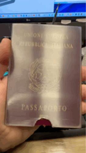 Passport Holder Passport logo embossed at the back