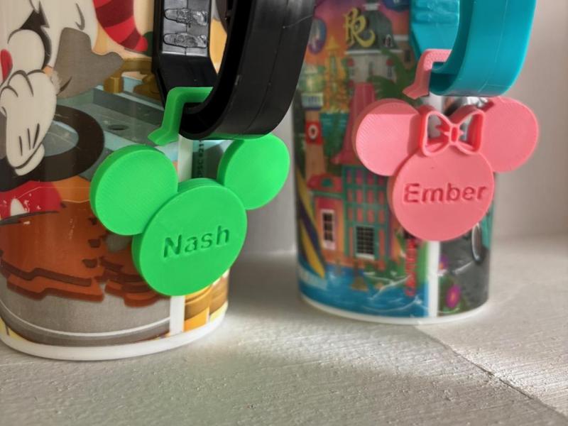 Disney Souvenir Mug Nametags