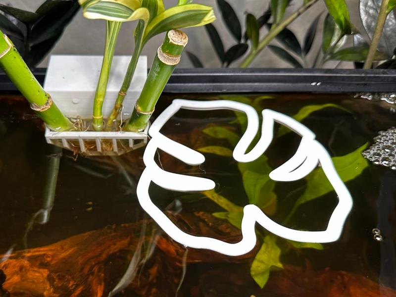 Monstera Fish Feeding Ring