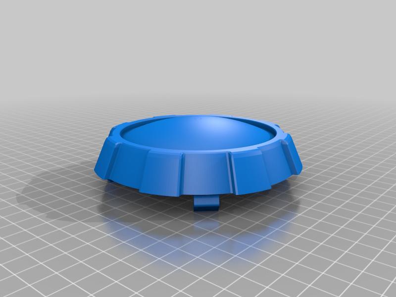 Wheel Cap
