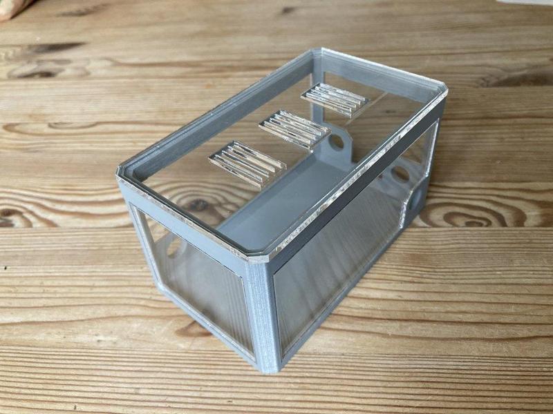 medium outworld for ant farm