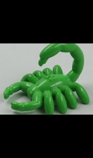 NT SCORPION (NT ANIMAL)