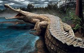 sarcosuchus
