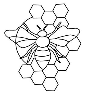 bee honey comb wallart