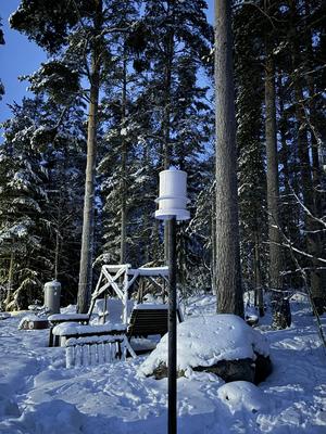 Bird feeder