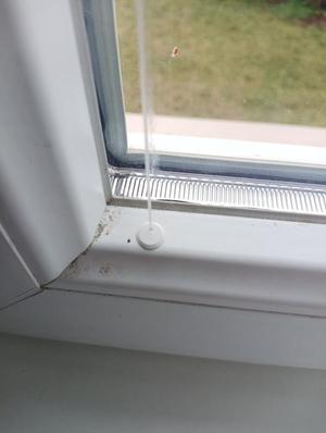 Hříbek pro uchycení vlasce žaluzií