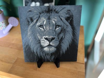 Lion Portrait - HueForge