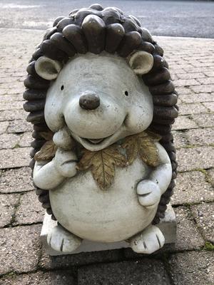 Igel