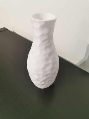 Voronoise vase