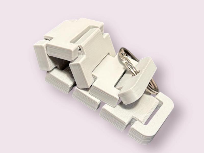 Flexi Keychain No AMS No Supports