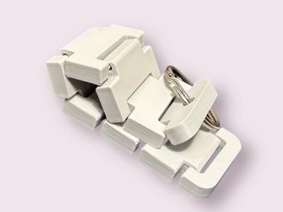 Flexi Keychain No AMS No Supports