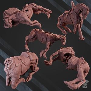 Slain Horses for terrain x5