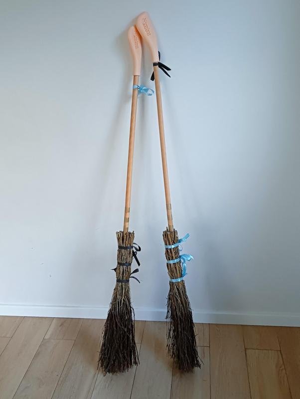 Nimbus 2000 broom top