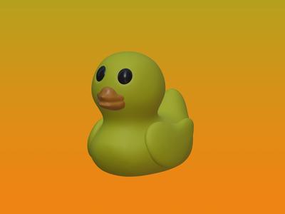 Duck