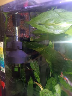 PH-Sonden Modifikation