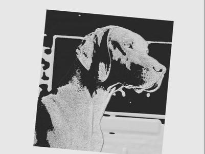 Vizsla lithophane