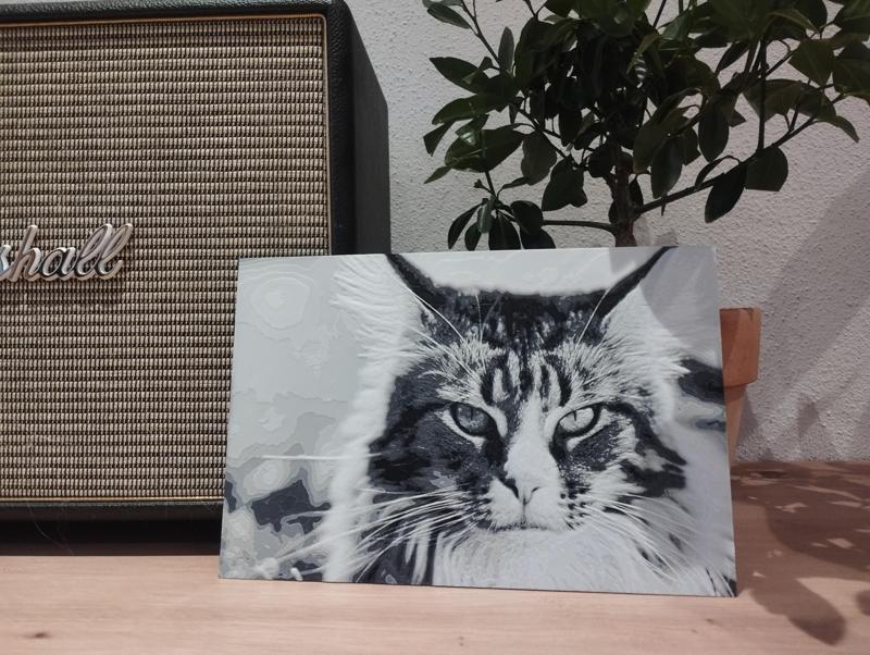 Maine Coon Cat Hueforge