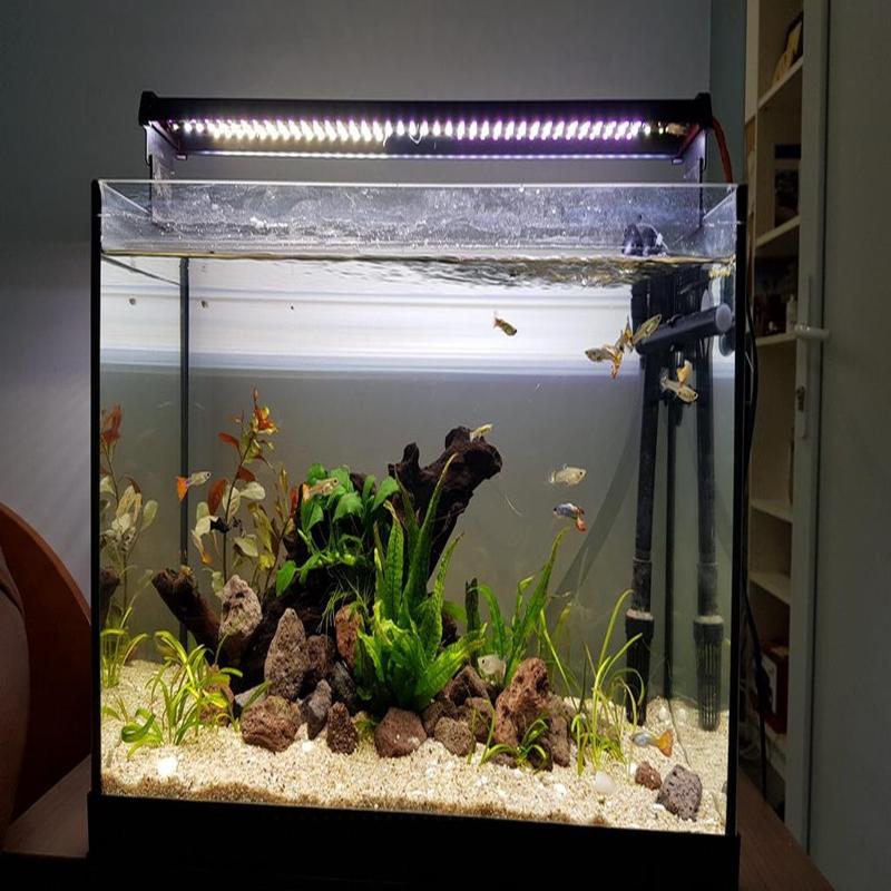 Aquarium Light Fixture