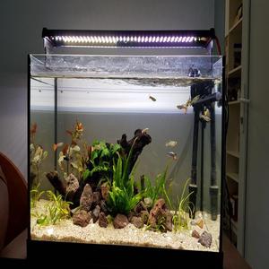 Aquarium Light Fixture