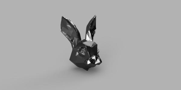 rabbit head
