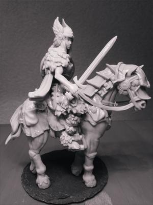 Shield Maiden on Horse