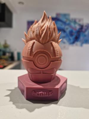 PokeballZ Vegeta Pokémon/Dragon Ball Z