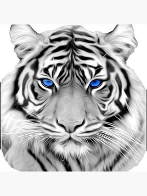 HueForge Siberian Snow Tiger