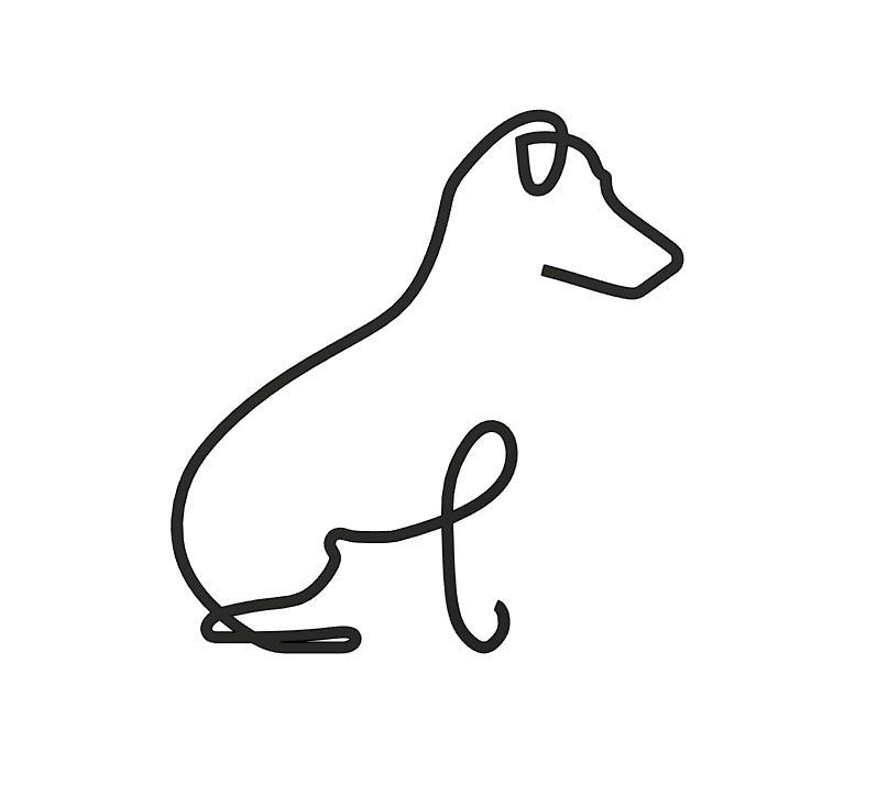 Jack Russell Terrier