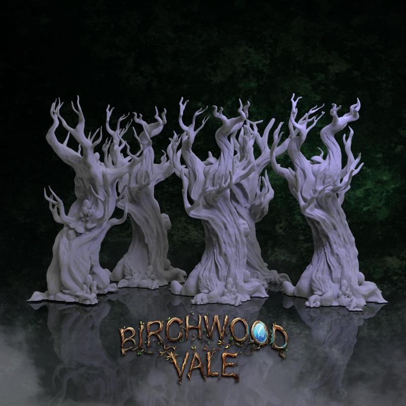 Birchwood Vale Ancient Forest