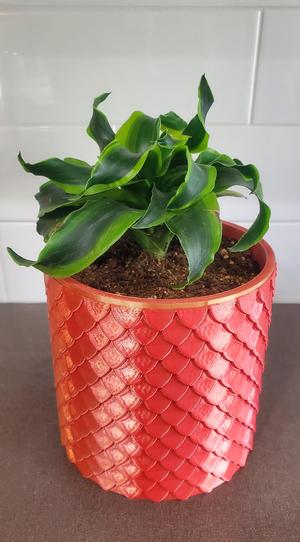 6 Inch Dragon Scale Wall Planter