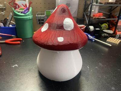 Mushroom Storage
