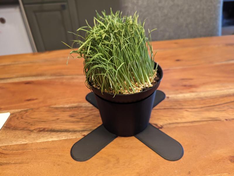 Cat Grass Planter With Topple Protection