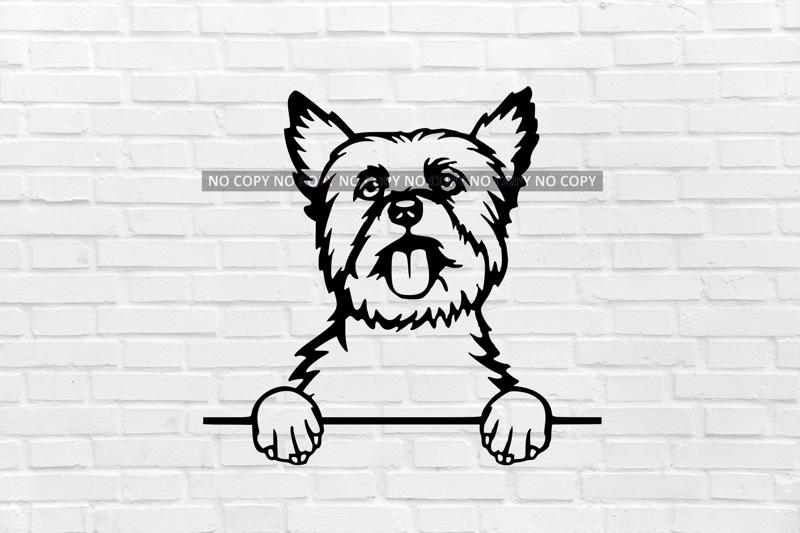 wall decoration dog yorkshire terriers