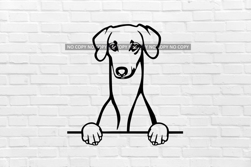 Sloughi dog wall decoration