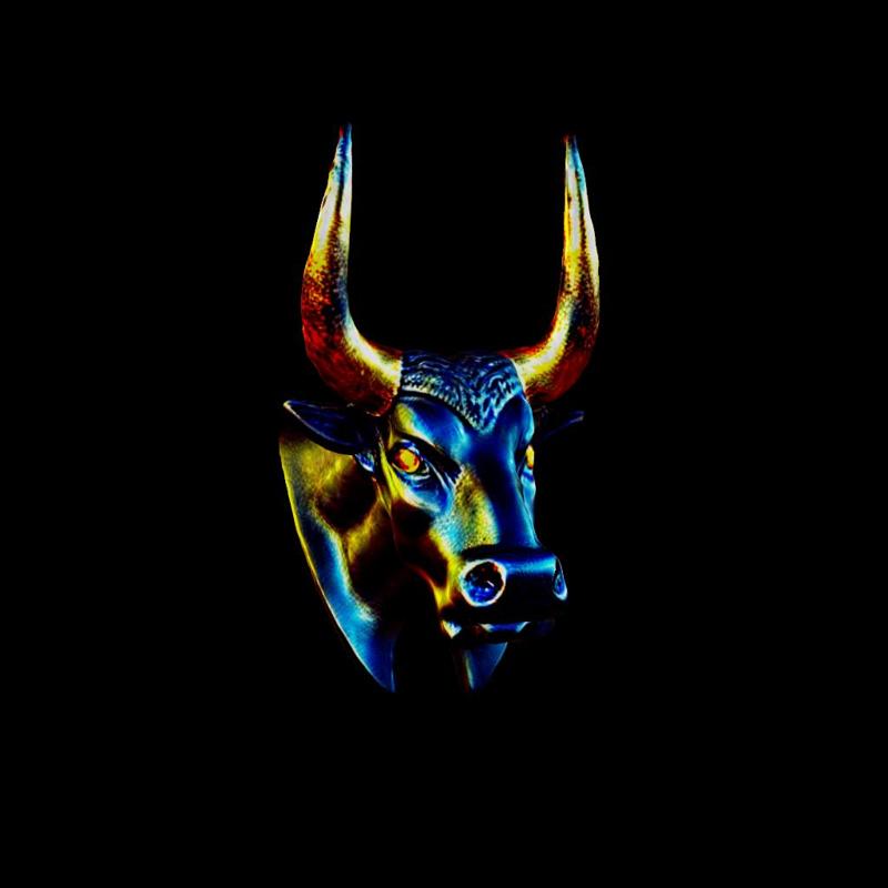 Bull Head - Two Versions