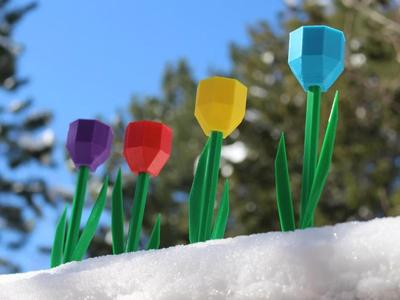 LowPolyTulip