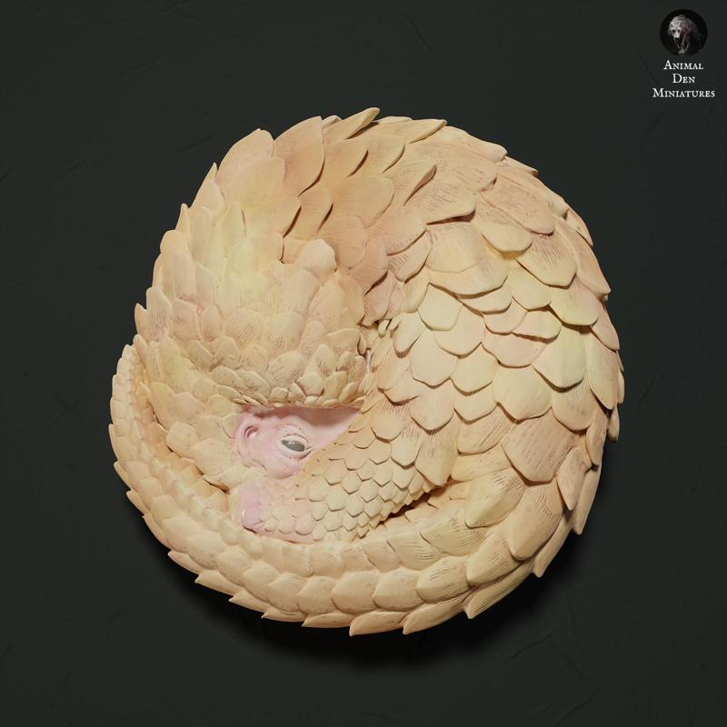 Sunda Pangolin Curled Up
