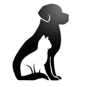 Dog And Cat Wall Decor