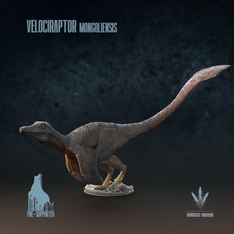 Velociraptor mongoliensis : Ready to Pounce