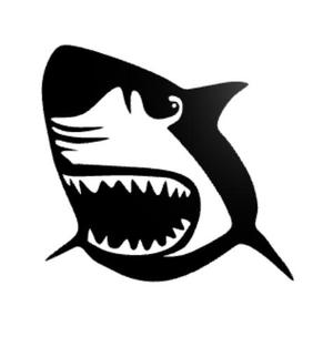 Wall Art Shark