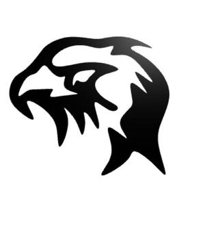 Wall decor eagle