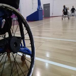 Wheelchair Protector Santalab