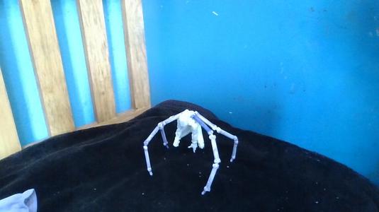 iron spider dummy 13