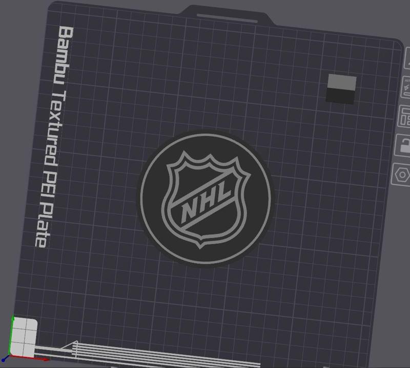 NHL Coaster