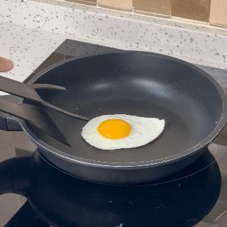 EGG FLIPPER 3000