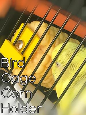 Bird Cage Corn Feeder