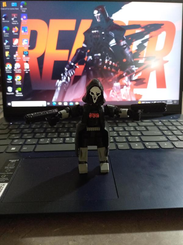 Mini 13: Overwatch Reaper
